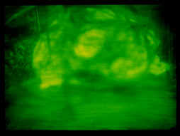 Kahlen_Phosphor4.jpg (36258 Byte)